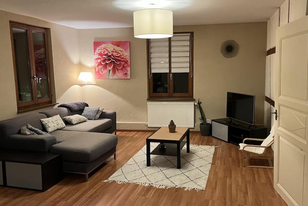 Grand Appartement A Barr Buitenkant foto